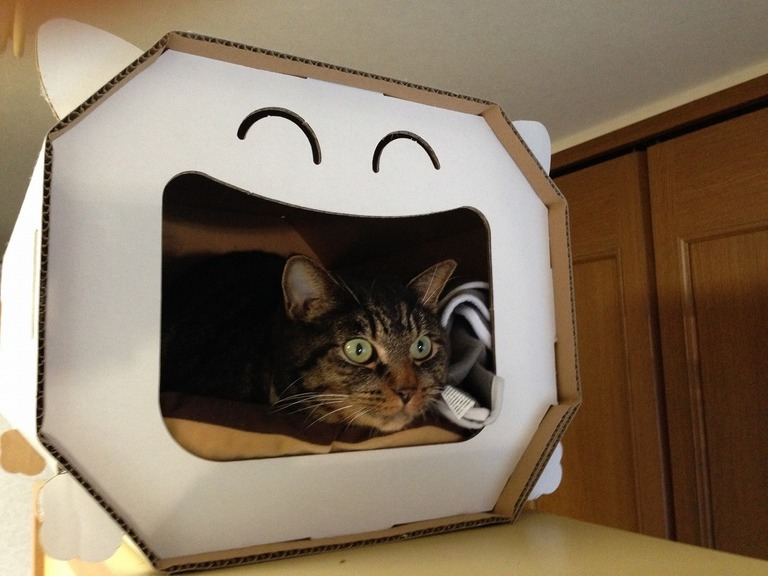 �A�����W���R���݁u�ɂ�񁙃n�E�X�v�g������Ȃ�