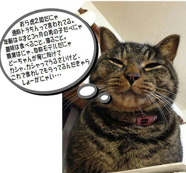 �A�����W���R���݁u�ɂ�񁙃n�E�X�v�g������Ȃ�