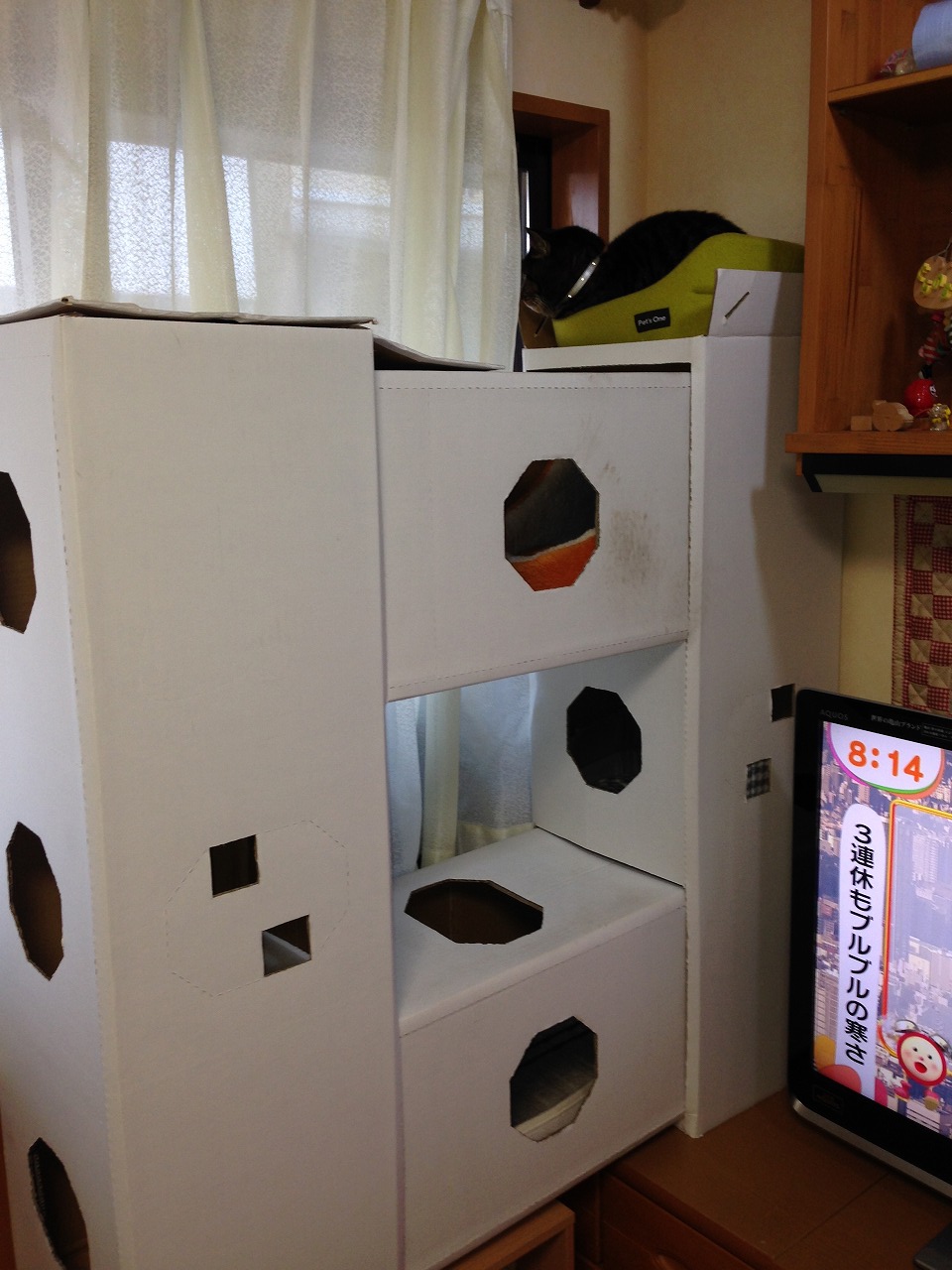 �A�����W���R���݁u�ɂ�񁙃n�E�X�v�g������Ȃ�