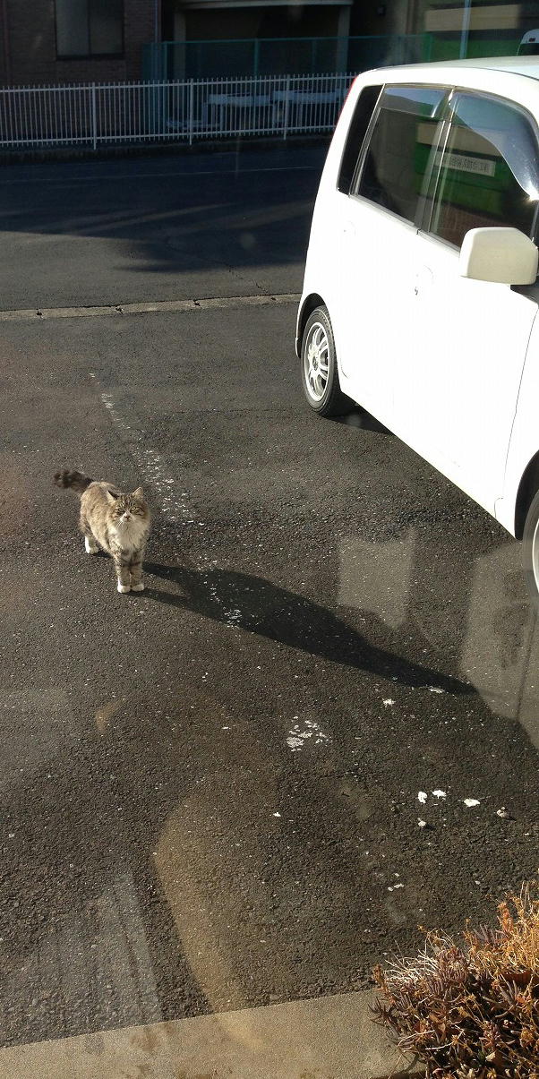 �A�����W���R���݁u�ɂ�񁙃n�E�X�v�g������Ȃ�