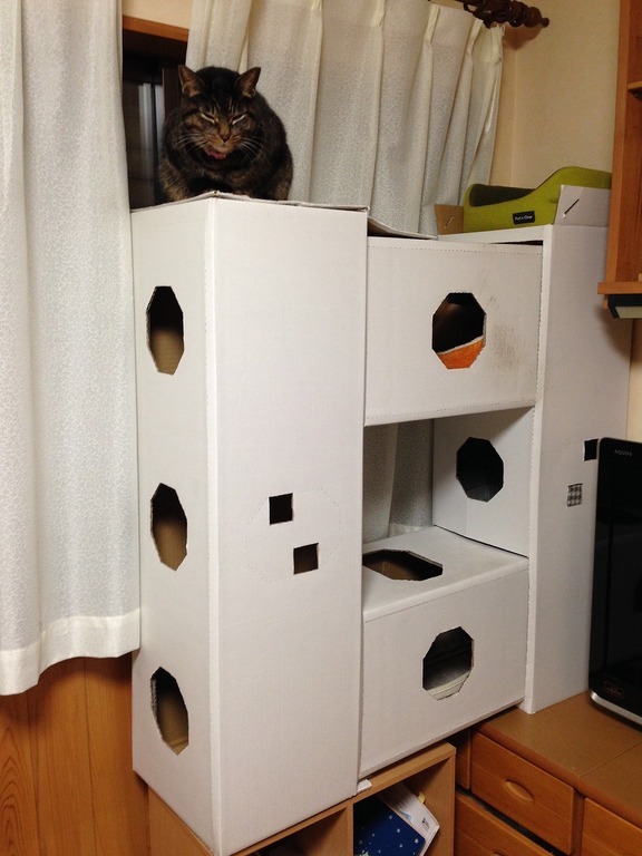 �A�����W���R���݁u�ɂ�񁙃n�E�X�v�g������Ȃ�