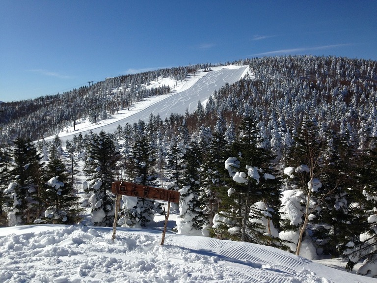 �A�����W���R���݁u�ɂ�񁙃n�E�X�v�g������Ȃ�