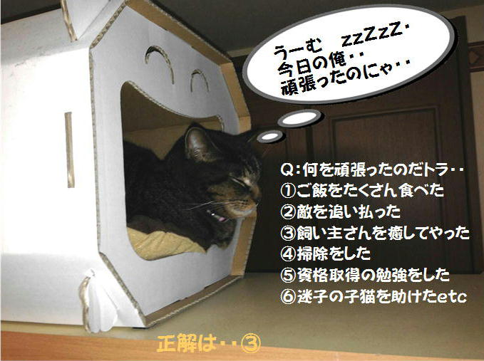 �A�����W���R���݁u�ɂ�񁙃n�E�X�v�g������Ȃ�