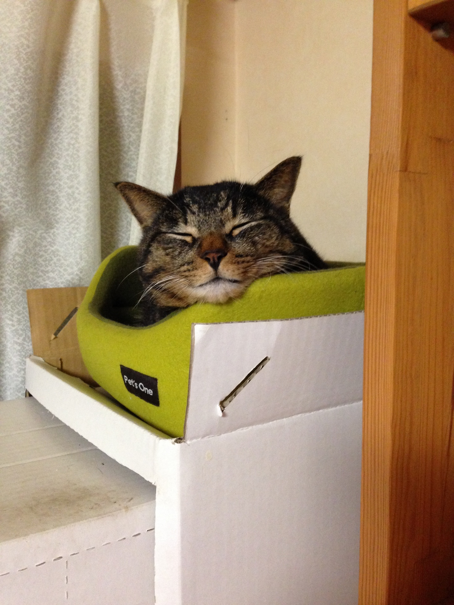 �A�����W���R���݁u�ɂ�񁙃n�E�X�v�g������Ȃ�