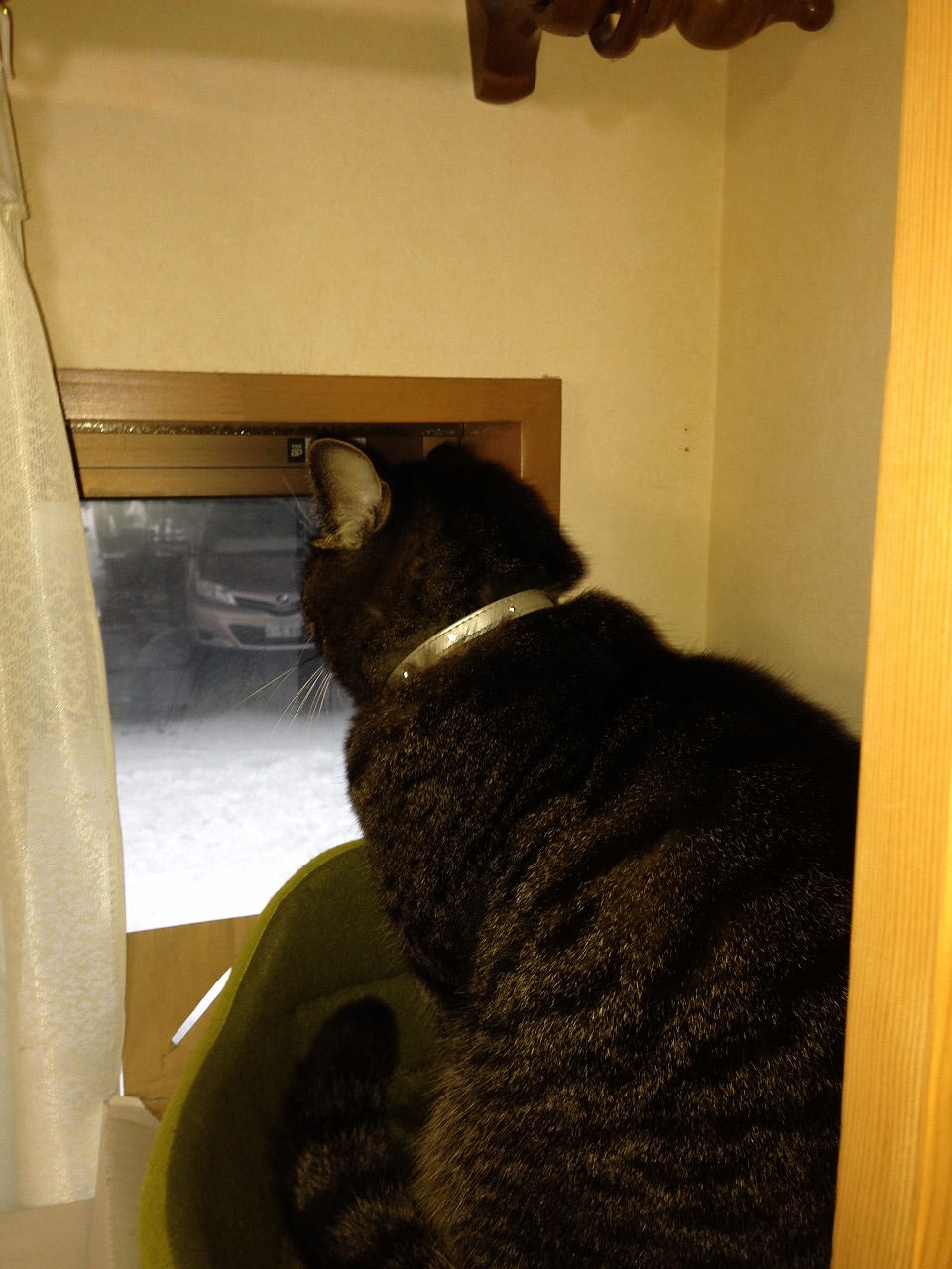 �A�����W���R���݁u�ɂ�񁙃n�E�X�v�g������Ȃ�