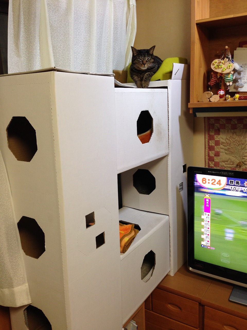 �A�����W���R���݁u�ɂ�񁙃n�E�X�v�g������Ȃ�