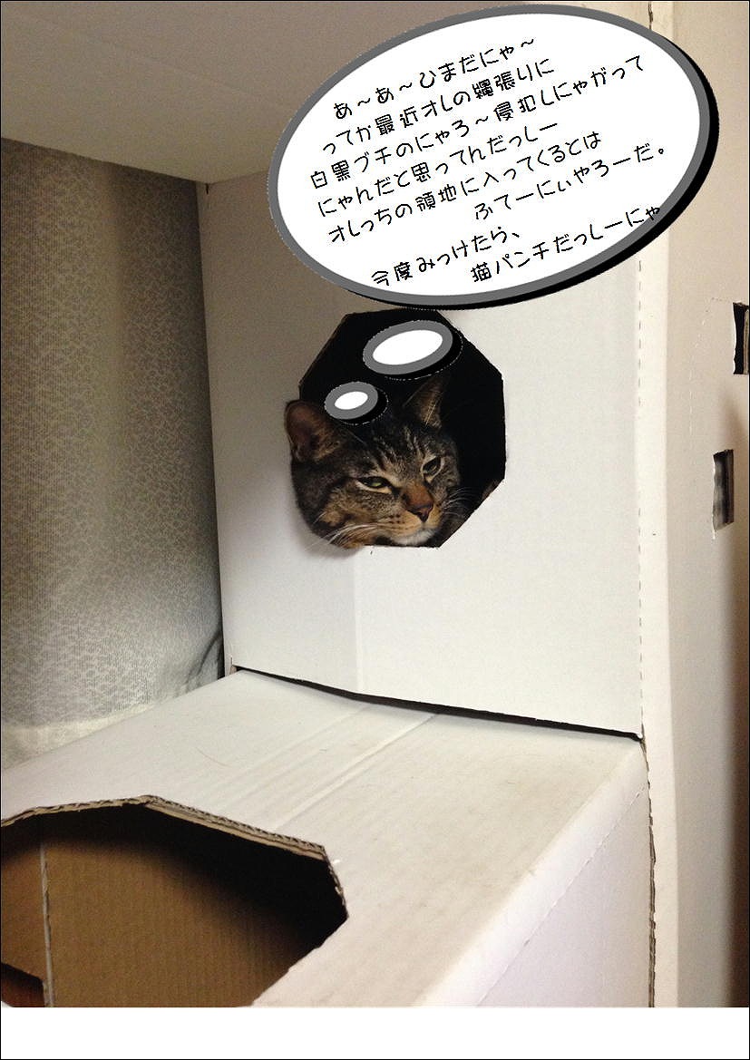 �A�����W���R���݁u�ɂ�񁙃n�E�X�v�g������Ȃ�