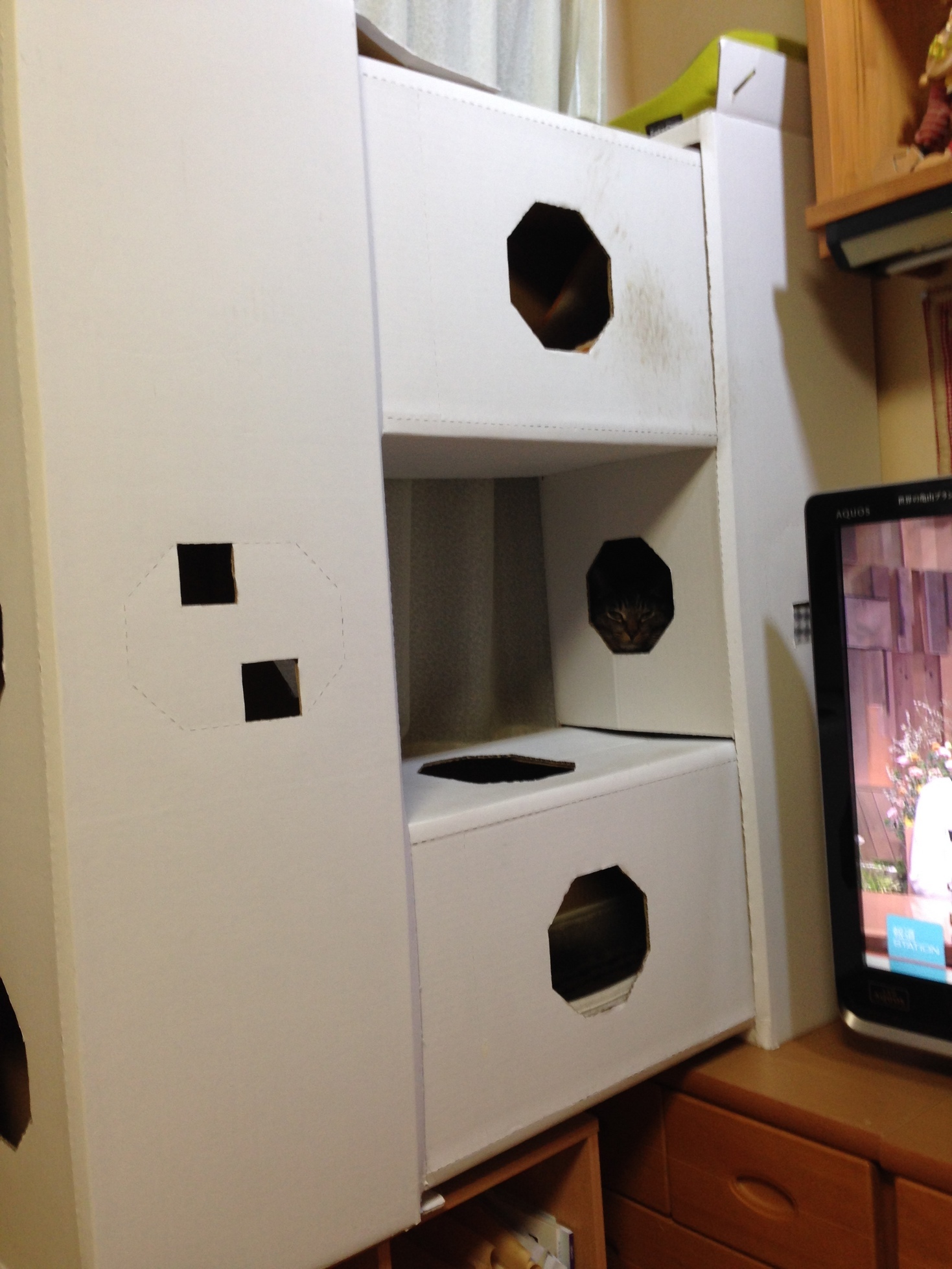 �A�����W���R���݁u�ɂ�񁙃n�E�X�v�g������Ȃ�