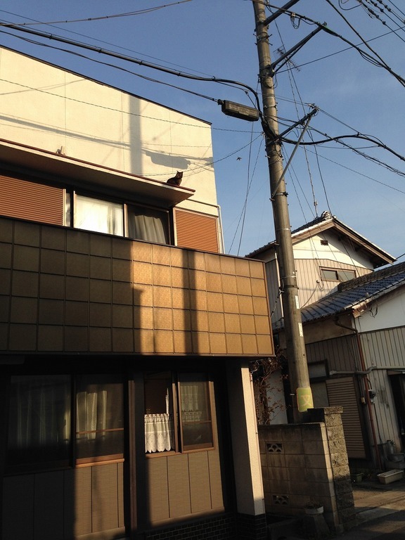 �A�����W���R���݁u�ɂ�񁙃n�E�X�v�g������Ȃ�