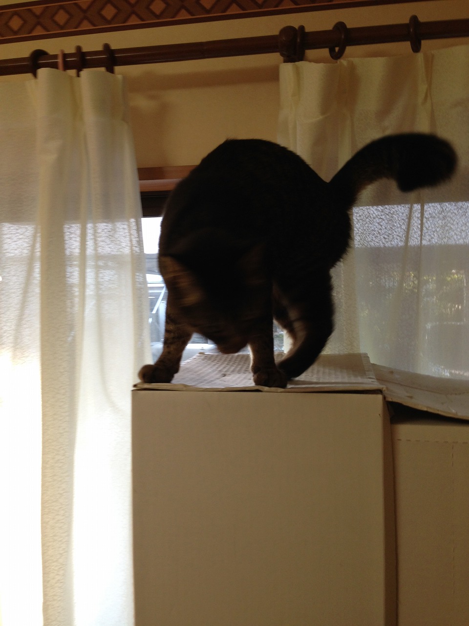 �A�����W���R���݁u�ɂ�񁙃n�E�X�v�g������Ȃ�