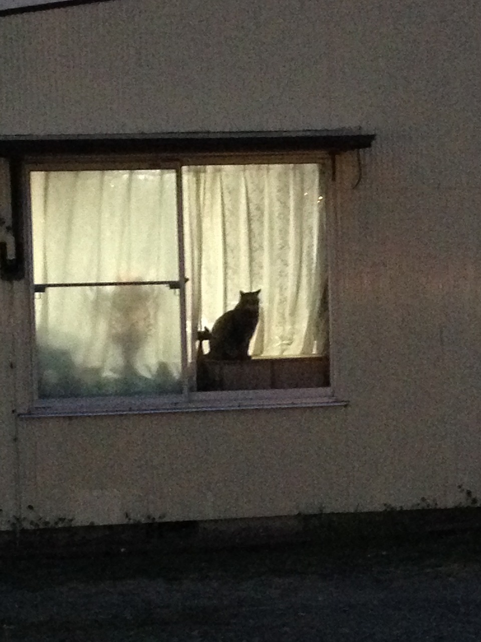 �A�����W���R���݁u�ɂ�񁙃n�E�X�v�g������Ȃ�