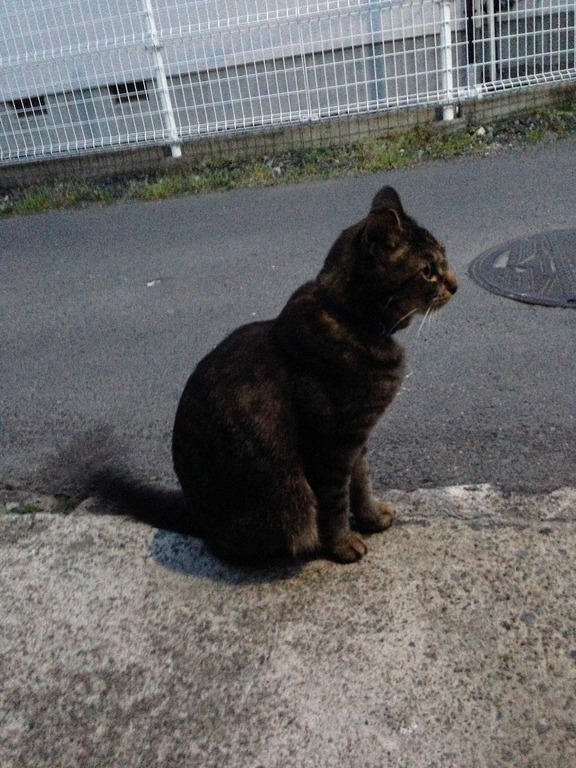 �A�����W���R���݁u�ɂ�񁙃n�E�X�v�g������Ȃ�