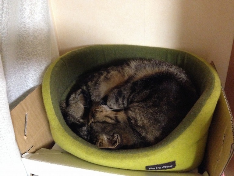 �A�����W���R���݁u�ɂ�񁙃n�E�X�v�g������Ȃ�