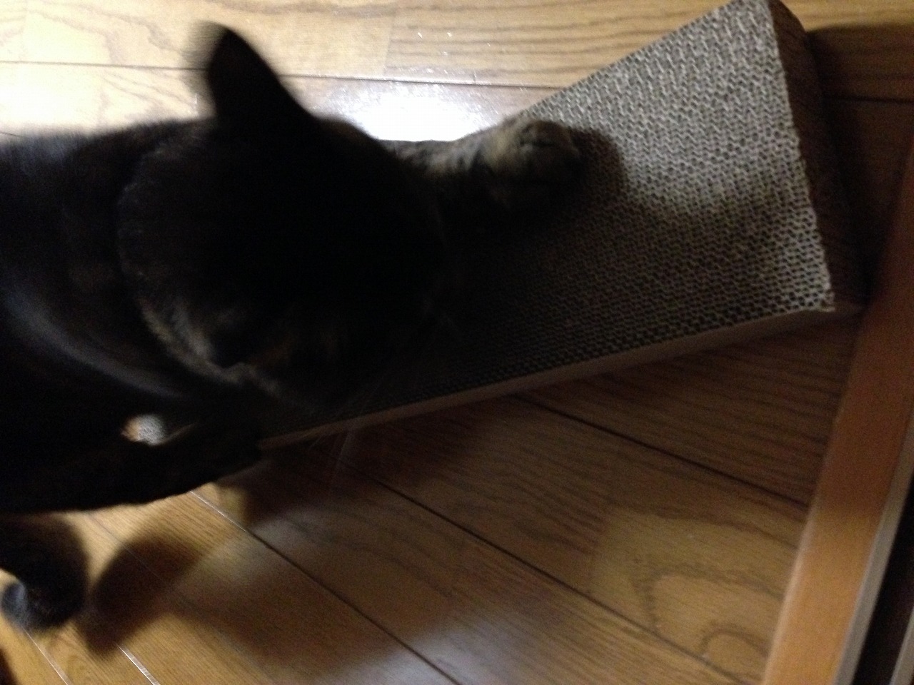 �A�����W���R���݁u�ɂ�񁙃n�E�X�v�g������Ȃ�