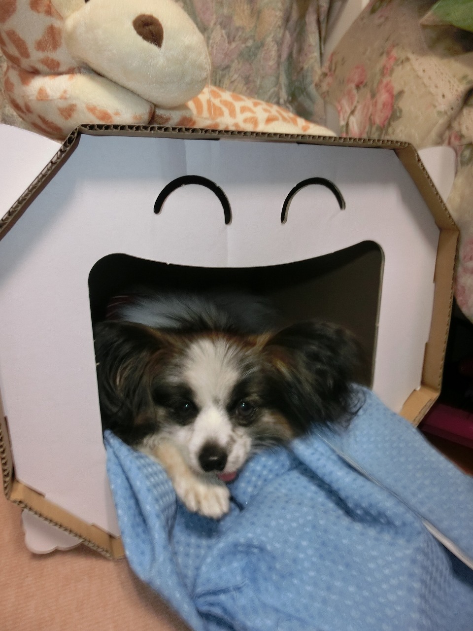 �A�����W���R���݁u�ɂ�񁙃n�E�X�v�g������Ȃ�