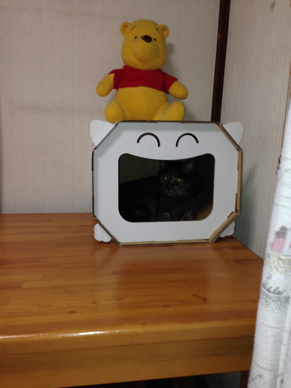 �A�����W���R���݁u�ɂ�񁙃n�E�X�v�g������Ȃ�