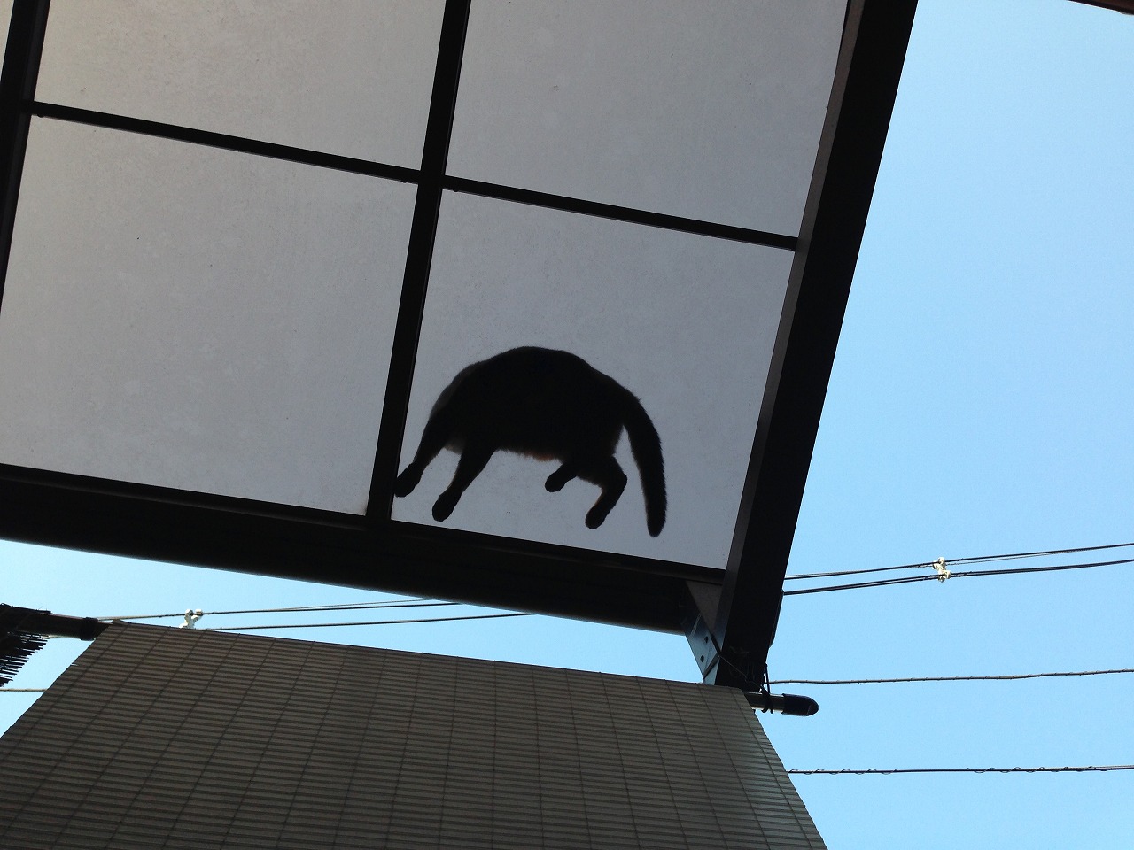 �A�����W���R���݁u�ɂ�񁙃n�E�X�v�g������Ȃ�