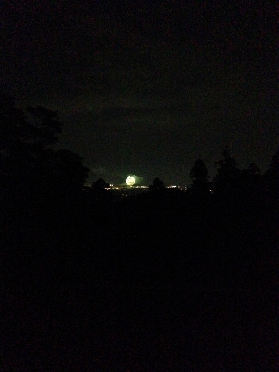 �A�����W���R���݁u�ɂ�񁙃n�E�X�v�g������Ȃ�