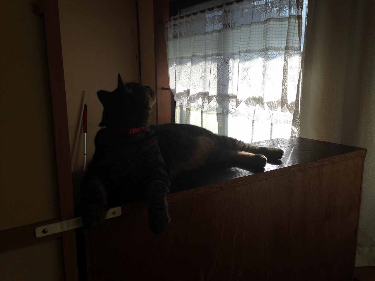 �A�����W���R���݁u�ɂ�񁙃n�E�X�v�g������Ȃ�