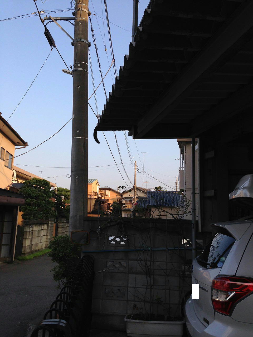 �A�����W���R���݁u�ɂ�񁙃n�E�X�v�g������Ȃ�