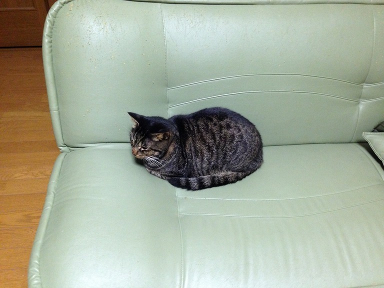 �A�����W���R���݁u�ɂ�񁙃n�E�X�v�g������Ȃ�