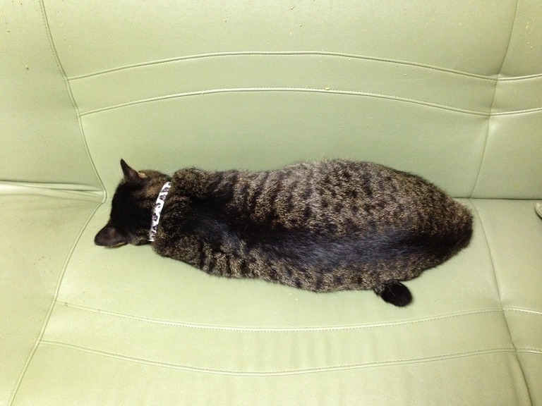 �A�����W���R���݁u�ɂ�񁙃n�E�X�v�g������Ȃ�