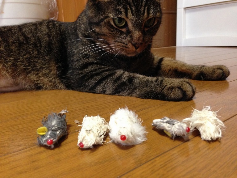 �A�����W���R���݁u�ɂ�񁙃n�E�X�v�g������Ȃ�