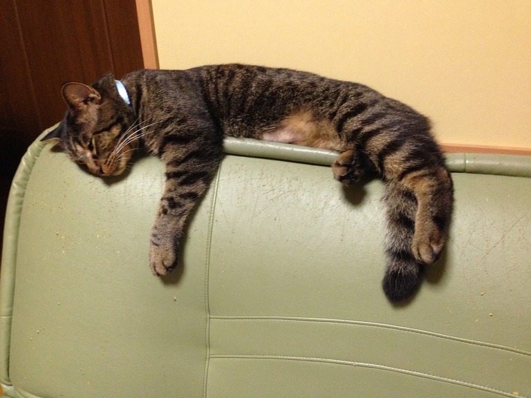 �A�����W���R���݁u�ɂ�񁙃n�E�X�v�g������Ȃ�