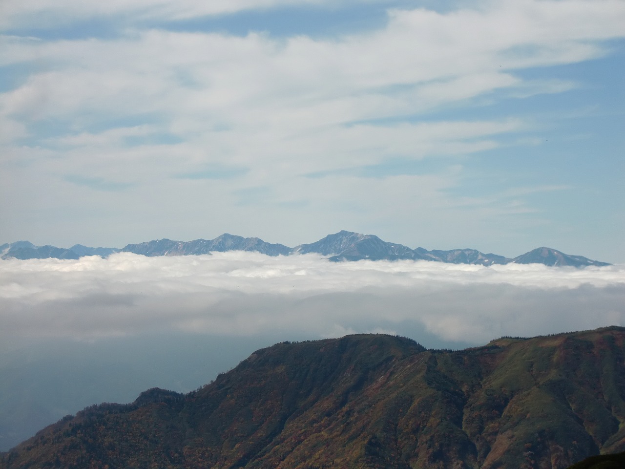 �A�����W���R���݁u�ɂ�񁙃n�E�X�v�g������Ȃ�