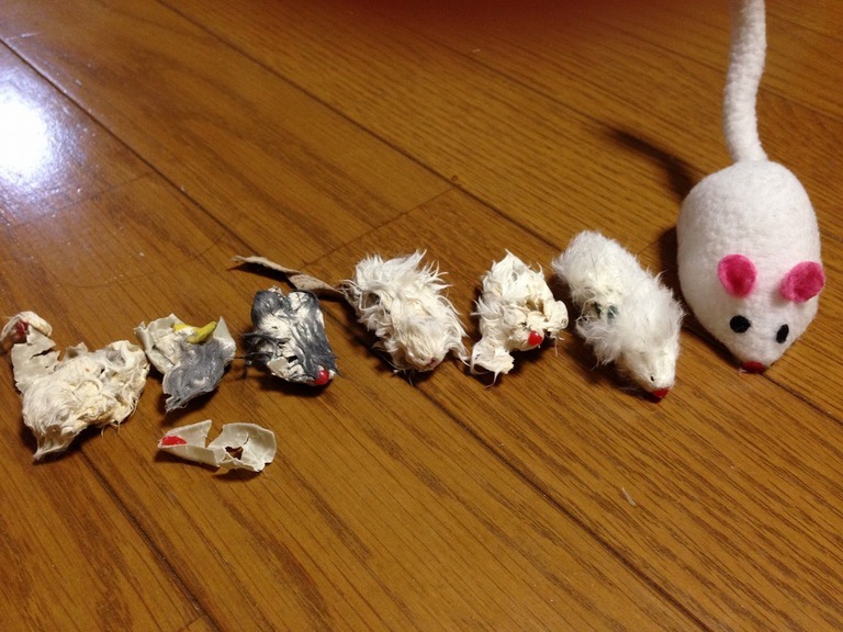 �A�����W���R���݁u�ɂ�񁙃n�E�X�v�g������Ȃ�