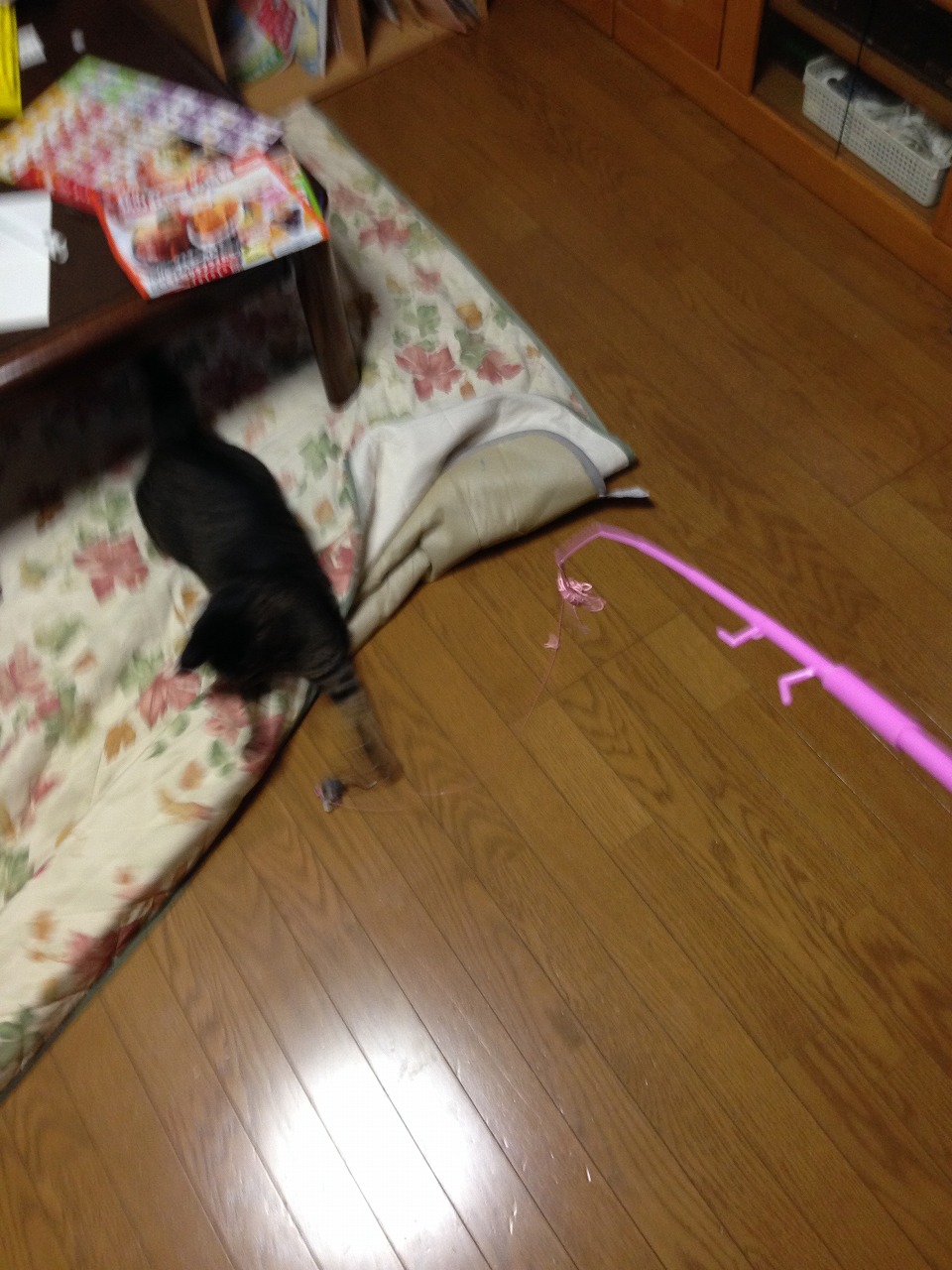 �A�����W���R���݁u�ɂ�񁙃n�E�X�v�g������Ȃ�