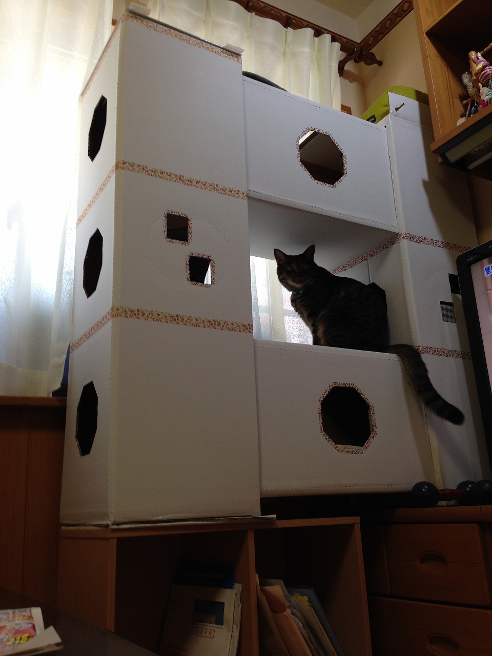 �A�����W���R���݁u�ɂ�񁙃n�E�X�v�g������Ȃ�