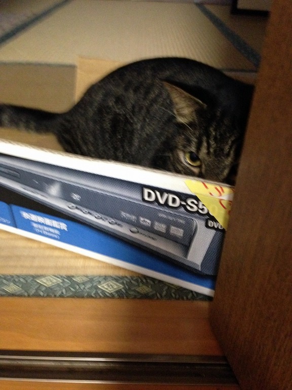 �A�����W���R���݁u�ɂ�񁙃n�E�X�v�g������Ȃ�