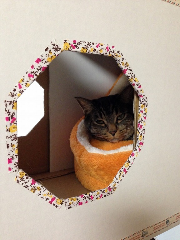 �A�����W���R���݁u�ɂ�񁙃n�E�X�v�g������Ȃ�