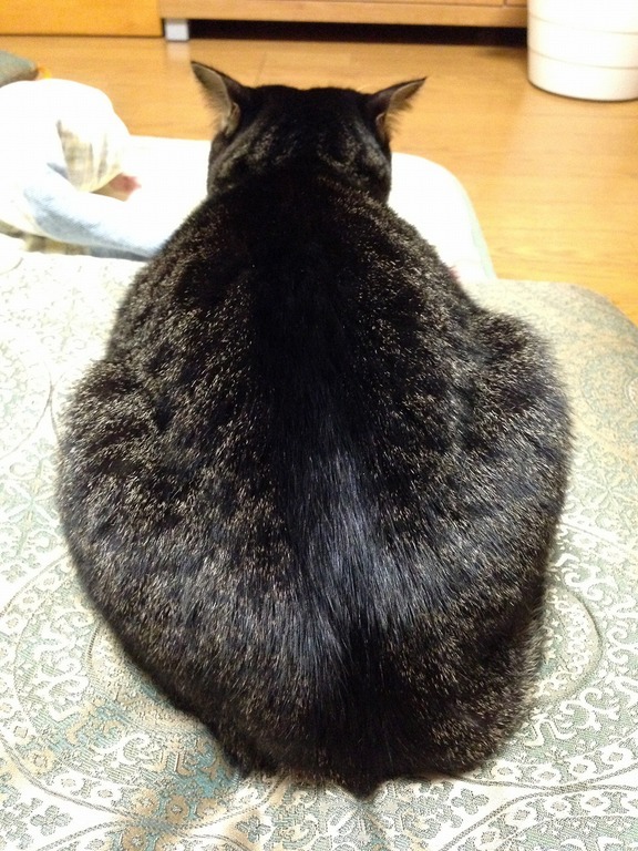 �A�����W���R���݁u�ɂ�񁙃n�E�X�v�g������Ȃ�