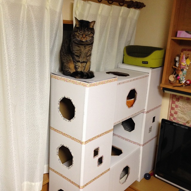 �A�����W���R���݁u�ɂ�񁙃n�E�X�v�g������Ȃ�