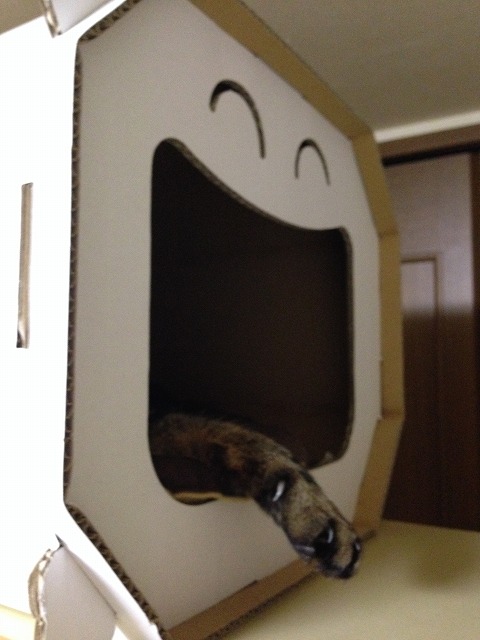 �A�����W���R���݁u�ɂ�񁙃n�E�X�v�g������Ȃ�