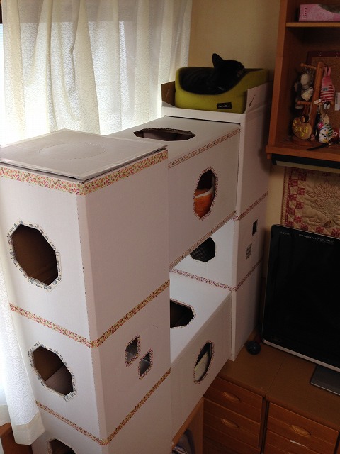 �A�����W���R���݁u�ɂ�񁙃n�E�X�v�g������Ȃ�