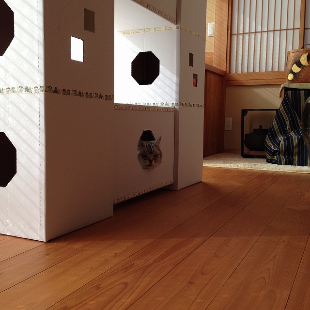 �A�����W���R���݁u�ɂ�񁙃n�E�X�v�g������Ȃ�