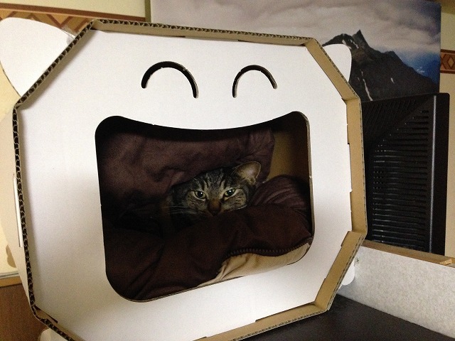 �A�����W���R���݁u�ɂ�񁙃n�E�X�v�g������Ȃ�