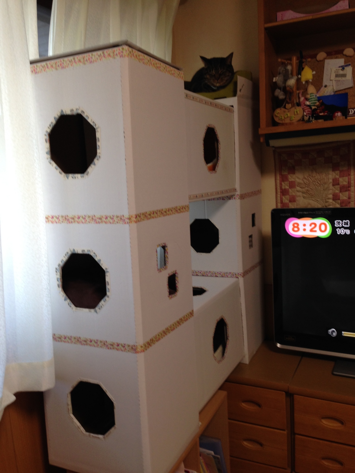 �A�����W���R���݁u�ɂ�񁙃n�E�X�v�g������Ȃ�