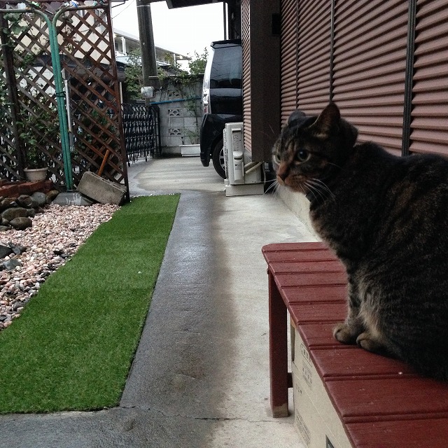 �A�����W���R���݁u�ɂ�񁙃n�E�X�v�g������Ȃ�