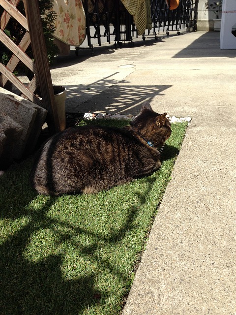 �A�����W���R���݁u�ɂ�񁙃n�E�X�v�g������Ȃ�