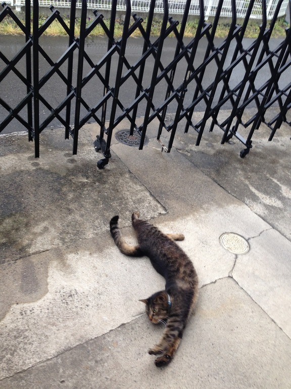 �A�����W���R���݁u�ɂ�񁙃n�E�X�v�g������Ȃ�