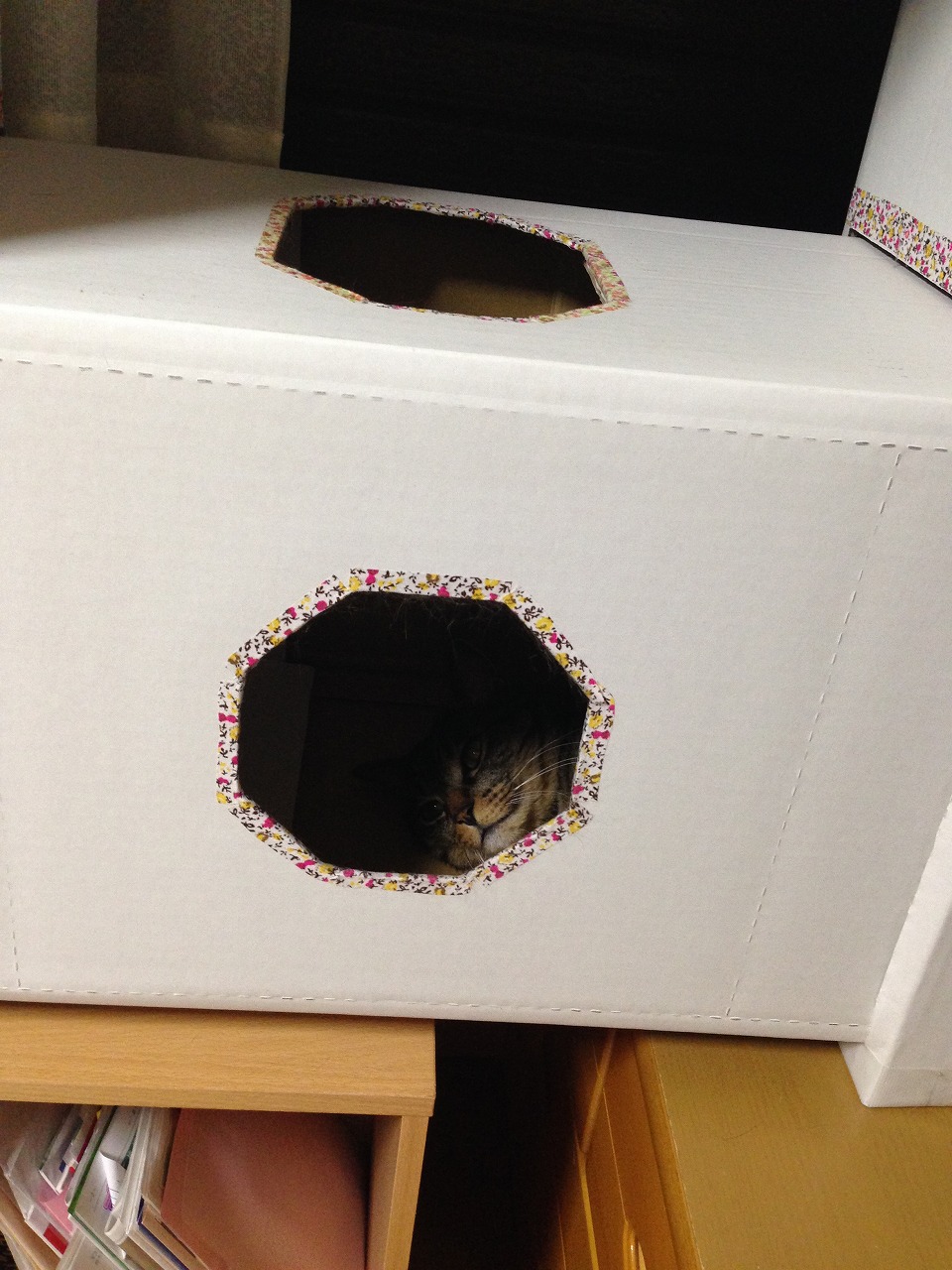 �A�����W���R���݁u�ɂ�񁙃n�E�X�v�g������Ȃ�