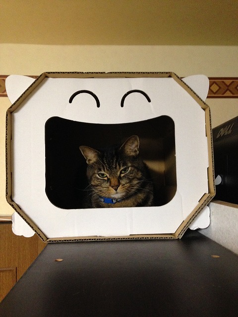 �A�����W���R���݁u�ɂ�񁙃n�E�X�v�g������Ȃ�