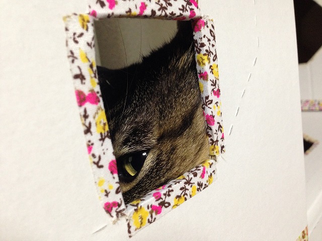 �A�����W���R���݁u�ɂ�񁙃n�E�X�v�g������Ȃ�