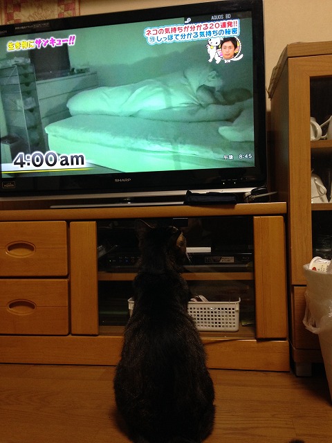 �A�����W���R���݁u�ɂ�񁙃n�E�X�v�g������Ȃ�