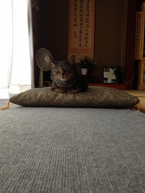 �A�����W���R���݁u�ɂ�񁙃n�E�X�v�g������Ȃ�