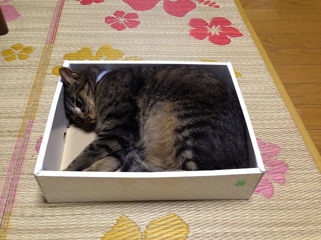 �A�����W���R���݁u�ɂ�񁙃n�E�X�v�g������Ȃ�